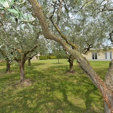 Panoramica Szálloda